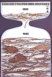 Commercial Fisheries in the Black Sea. Three decades of Decline